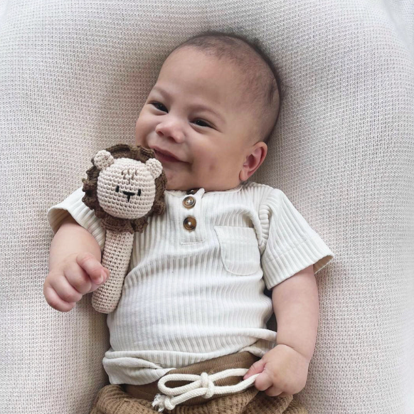 Crochet Lion Rattle